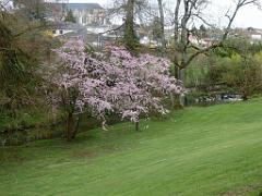 149 PARC ORIENTAL DE MAULEVIER MAINE ET LOIRE 2016 N3_000016